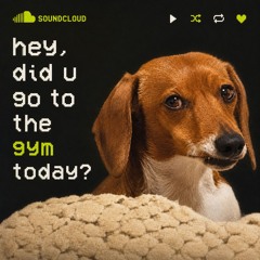 hey, did u go to the gym today? // gym mix vol. 5 // dubstep, trap // inspired by illenium, knock2