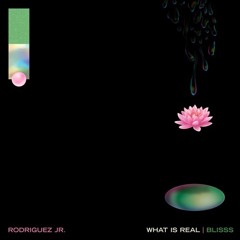 Rodriguez Jr. - What Is Real Feat. Liset Alea (Juan Sapia Edit)