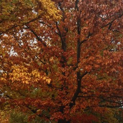 Spell on you (mess you made)