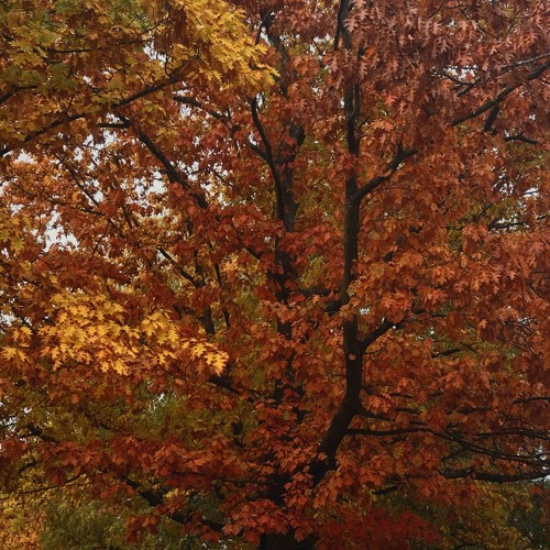 Spell on you (mess you made)