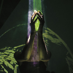 shineversince