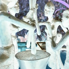 Dentelle & Orchidée