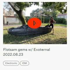 Radio Vilnius_Flotsam Gems W Exoternal August 23, 2022