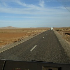 Animals In Cage AKA SKIMFISH - TECHNO MIX 2024