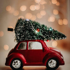 Christmas Party 2024  (Pop, Classic, Jazz, Rock, Swing, R&B, Acoustic)