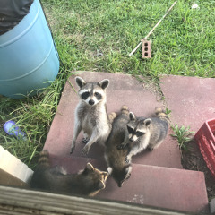 trance hill 081023 demo.mp3