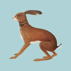 Vashti Bunyan-If I Were (Demo, 2001)