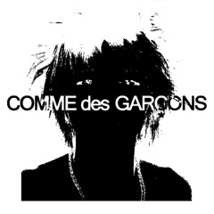 comme des garcons vol2 +kayylizz