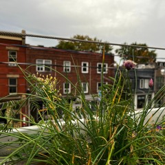 Not All Roofs Are Created Equally