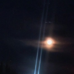 the dulcet melodies of the evening