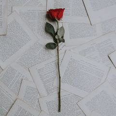 Tu és amor