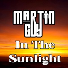 Martin Guy - In The Sunlight. (Sample)