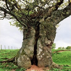 Diùrrais