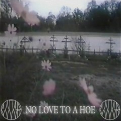 NO LOVE TO A HOE