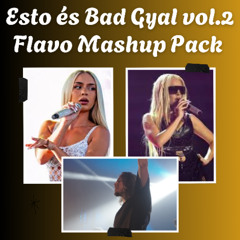 ESTO ÉS BAD GYAL 2.0 / FLAVO FREE MASHUP PACK