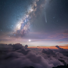 Stars