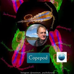 The Copepod, with Howard Dryden, for Voices from the Ocean