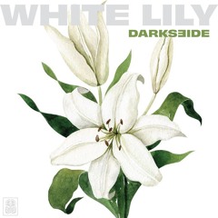White Lily