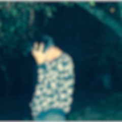 hợp tan.ft Brickies