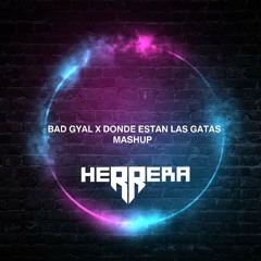 Bad Gyal X Donde Estan Las Gatas MASHUP - HERRERA (95 - 110BPM)