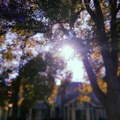 moon in the morning [adam melchor]