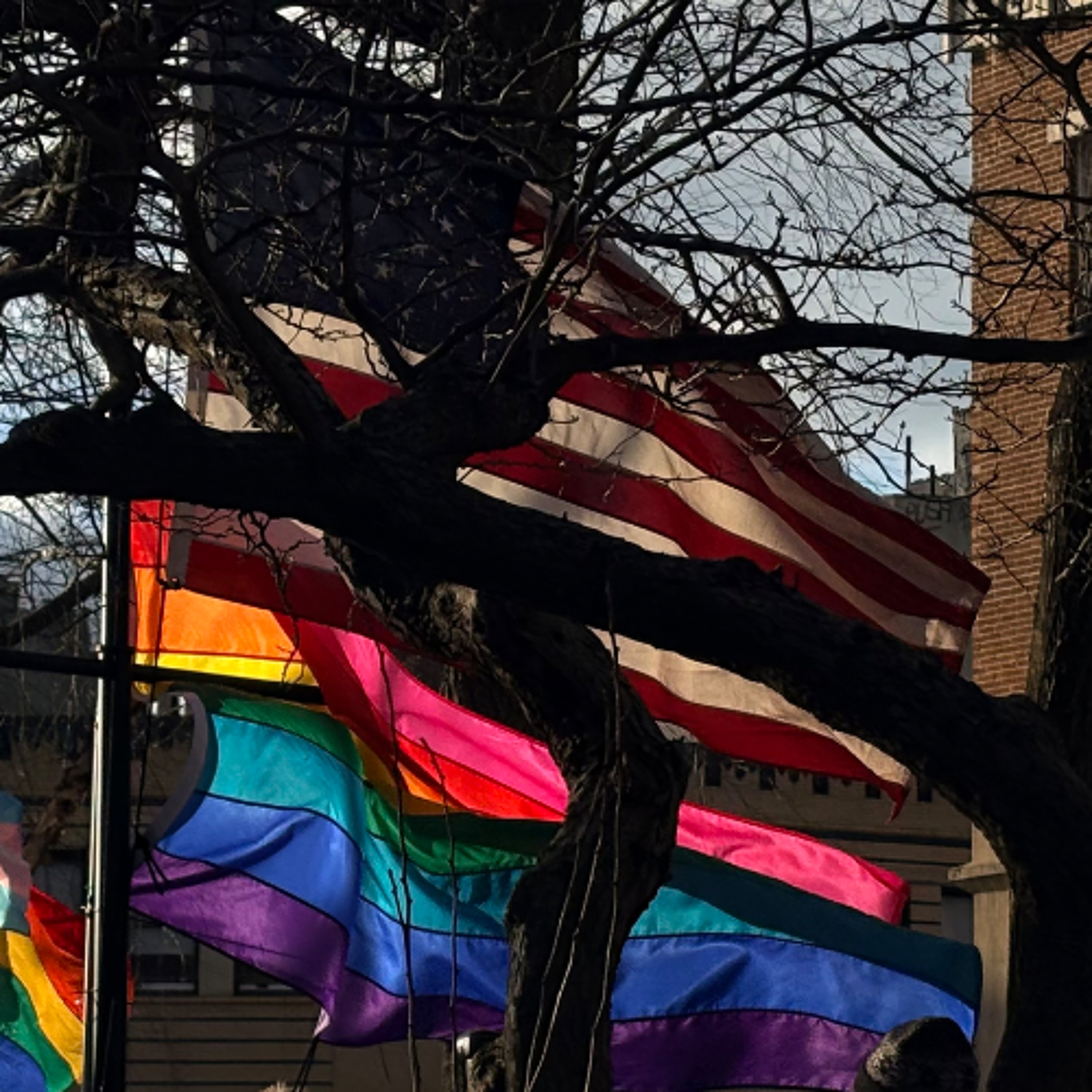 021326 DC Crash Blame, Pride Flag Raised on Federal Land, Trump Defied, LGBTQ+ episode artwork