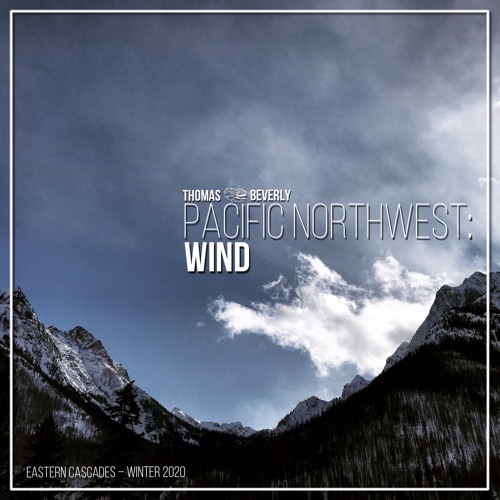 Stream AMB32 Pacific Northwest Wind SFX Library Demo by Thomas Rex