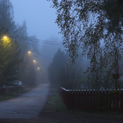 Daylight