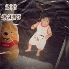208BAB3