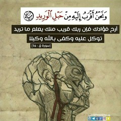 ونحن أقرب إليه من حبل الوريد