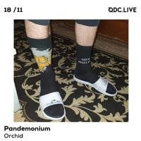 Soundcloud podcast image for Pandemonium w/ Orchid 