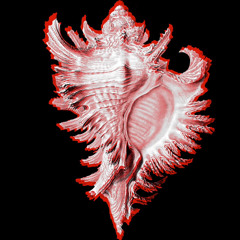 018 - Reincarnated as a dung beetle.wav