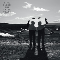 Comfortably Numb (Live at Knebworth 1990)