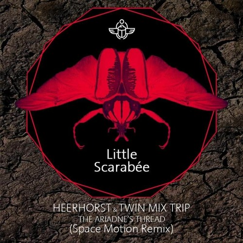 13769930 The Ariadne S Thread Space Motion Rmx