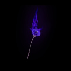 Song of Dark