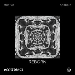 Premiere: Motivo - Reborn [SCORDISCI]