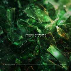 IAMT493: Lluis Ribalta - Acid Train