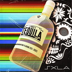 THE CHAMPS - TEQUILA (J.RABBIT REMIX) [SXLA FLIP] [FREE DOWNLOAD]