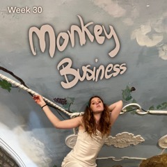 Week 30 (monkey business)