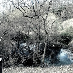 진료기록 - CHANN 찬 (Cover)