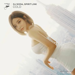 DJ Soda, SPIRIT LINK - Cold