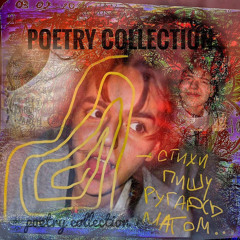 современная поэзия