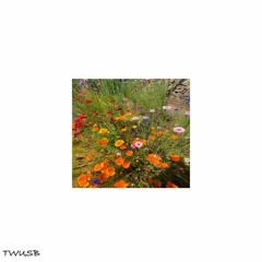 Warmth of Your Touch
