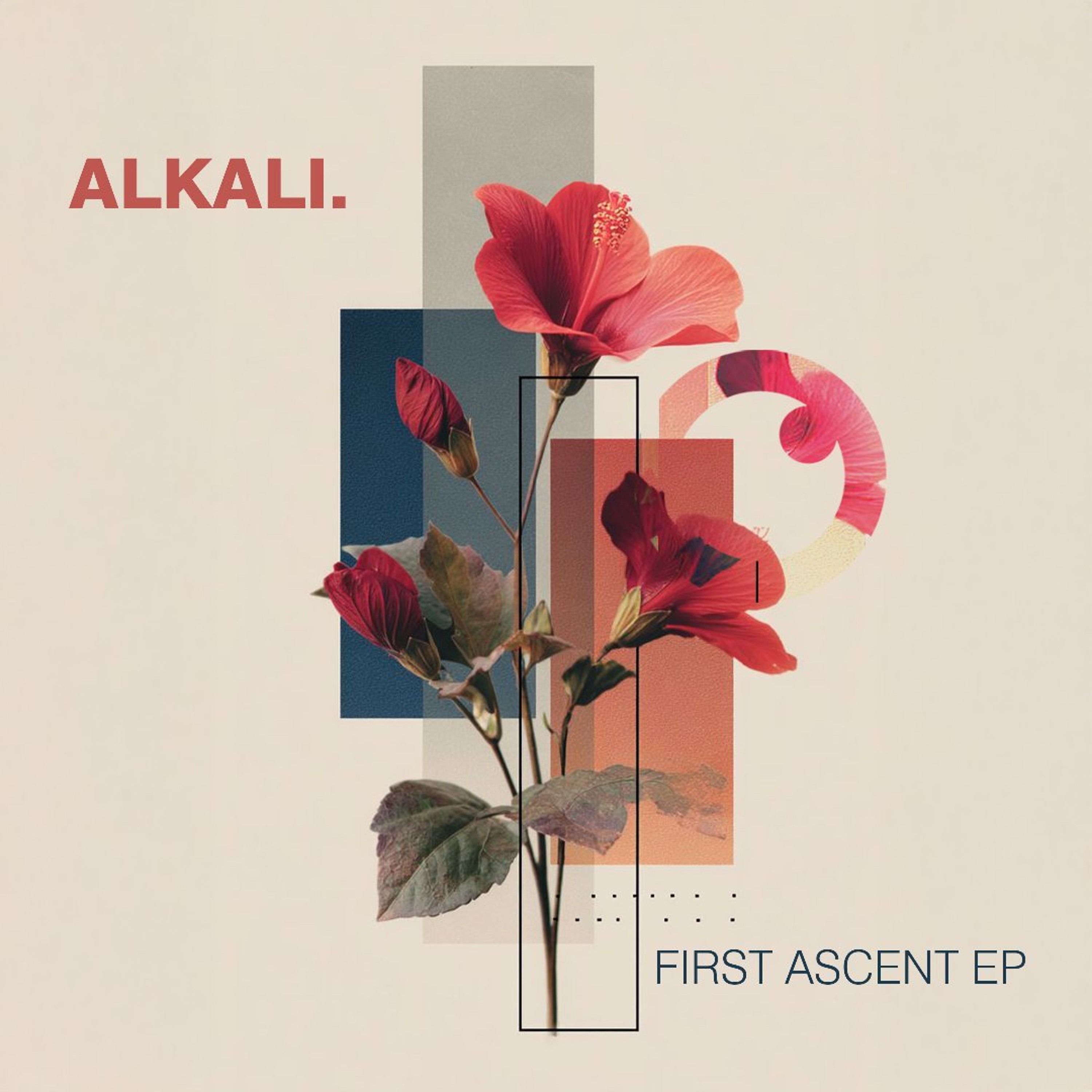 Alkali. - I've Tried