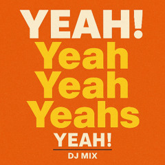 🎧 “YEAH! Yeah Yeah Yeahs” – DJ Flip