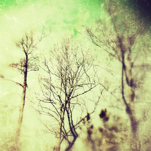 Stream Strange Situation by Solipsis | Listen online for free on SoundCloud