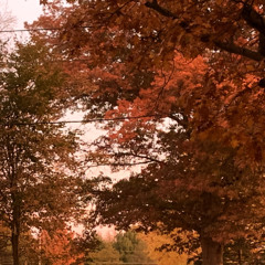 You're So Effortlessly Beautiful