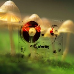 OpenLab Radio Mushroom Jazz Mixes