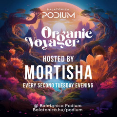 DJ Mortisha - Organic Voyager vol. 4