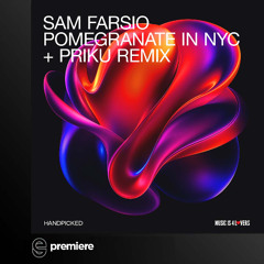 Premiere: Sam Farsio - Pomegranate in NYC - Handpicked